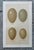 Set of 8 English Late 19th Chromolithographs of Bird Eggs For Sale - Image 9 of 10
