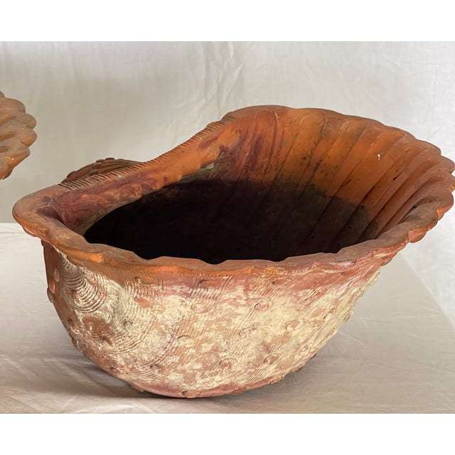 French Antique Set of Three Terracotta Large Shell Planters, 1940s For Sale - Image 4 of 18