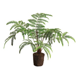 Forest Fern Drop-In 29.5" For Sale