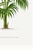 Vintage Palm Botanical Study, Art Print Reproduction, 32" X 48" For Sale - Image 10 of 10