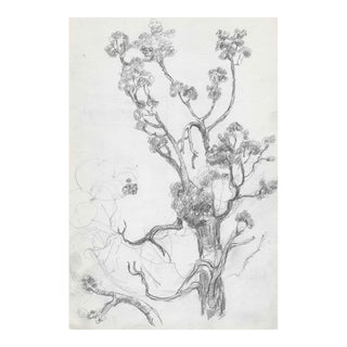 1950s Alexandra Merker Landscape With Tree For Sale