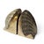 Mid 20th Century Vintage Hollywood Regency Solid Brass Scallop Shell Bookends - Pair For Sale - Image 5 of 9
