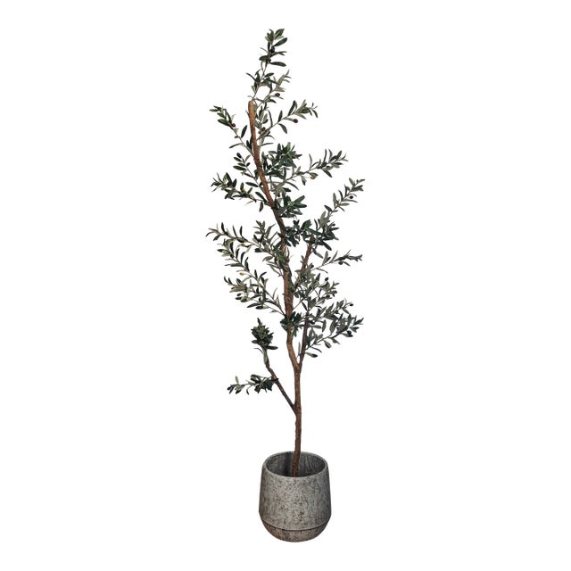 Textured Cement Pot Planter For Sale