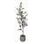 Textured Cement Pot Planter For Sale