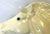 Mid Century Vintage Cast Ceramic Rearing White Mustangs With Glass Eyes- A Pair For Sale - Image 15 of 18
