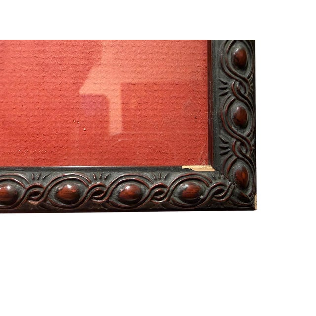 Antique Wood Engraving of a Llama, C. 1860s–1890s, Beautifully Framed in Red For Sale - Image 10 of 11