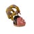 The Gelede mask, originating from the Yoruba people living along the southwestern Nigerian and Beninese border, showcases...