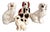 Antique Hand Painted Staffordshire Dogs, 1890, Set of 5 For Sale