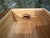 Stickley Stickley Harvey Ellis Desk Deck, Onondaga For Sale - Image 4 of 7