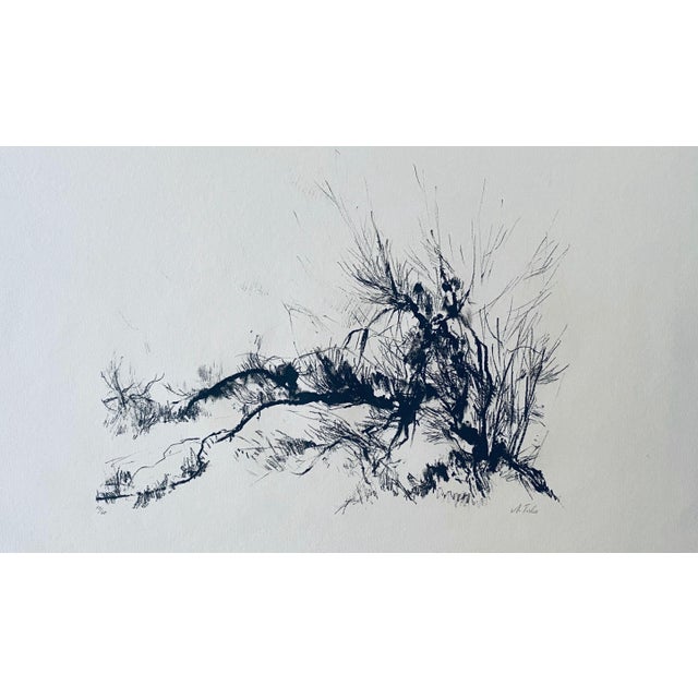 Anna Ticho (אנה טיכו ) (1894-1980) was a Jewish artist who became famous for her drawings of the Jerusalem hills. Anna...