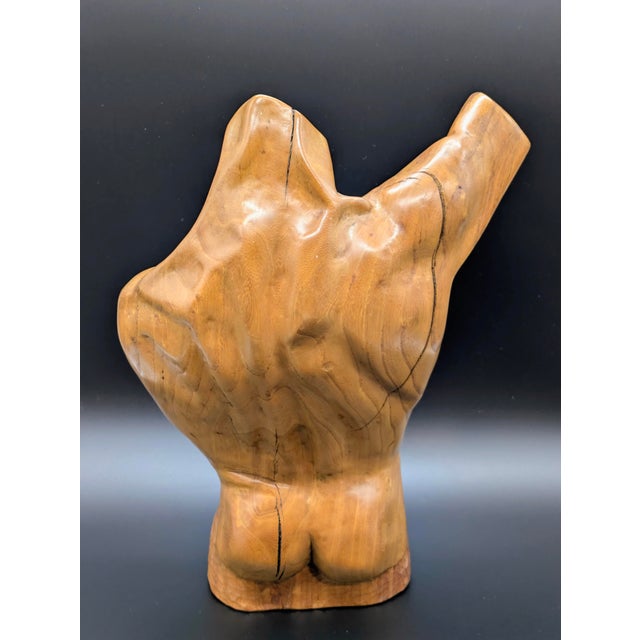 Brown 1970s Hand-Carved Teak Sculpture: "Torso" by Don Homan For Sale - Image 8 of 10