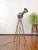 Patt 23N Spotlight on Chrome Tripod from Strand Electric, England, 1960s For Sale - Image 6 of 17