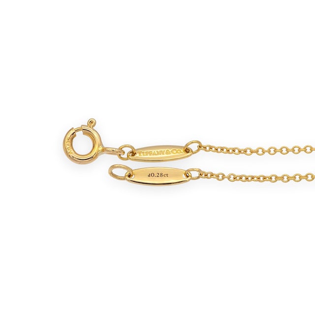 Elsa Peretti & Tiffany & Co. Tiffany & Co Peretti 18k Gold Color by the Yard Ruby Diamond Necklace .50ct CNTR For Sale - Image 4 of 7