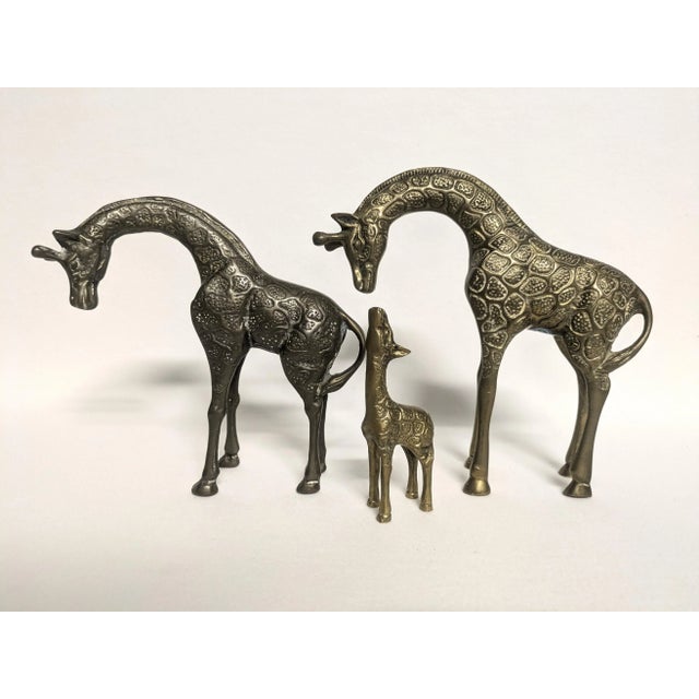 Mid-Century Modern Large Brass Giraffe Figurines - Set of 3 For Sale - Image 3 of 11