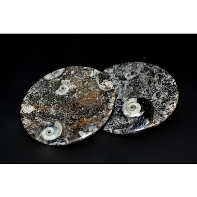 Pair Ammonite Plates Fossil Millions Years Natural Finely Crafted For Sale - Image 9 of 13