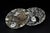 Pair Ammonite Plates Fossil Millions Years Natural Finely Crafted For Sale - Image 9 of 13