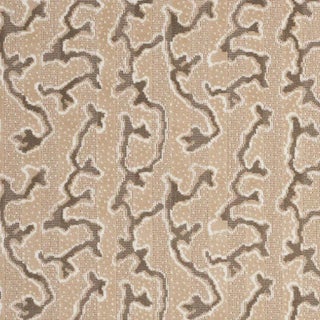 Schumacher X Timothy Corrigan Corail Velvet Fabric in Champagne For Sale