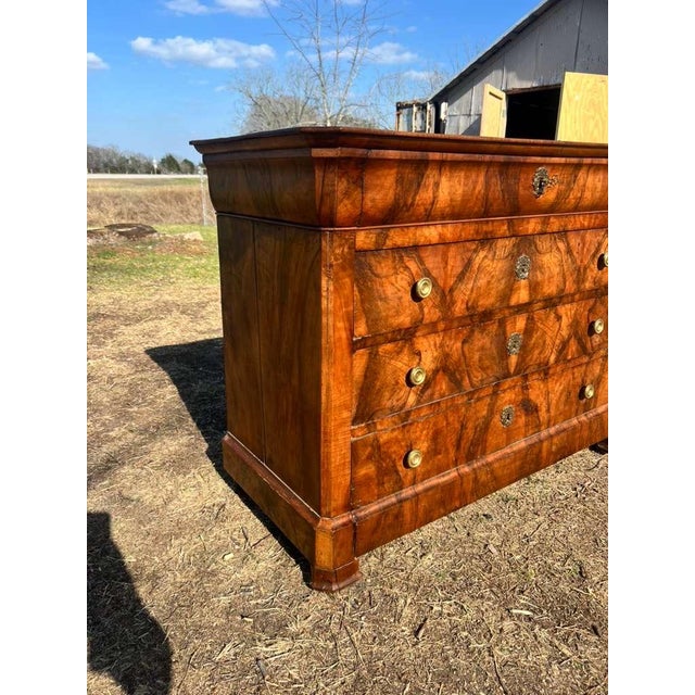 French Provincial 19th Century French Louis Philippe Burl Walnut Chest of Drawer / Commodes For Sale - Image 3 of 18