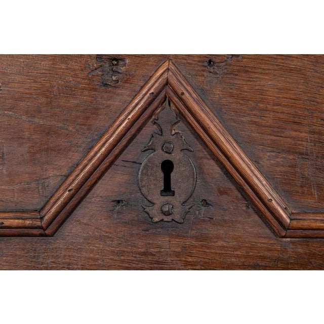 Large French Fruitwood Coffer, 1870s For Sale - Image 4 of 16