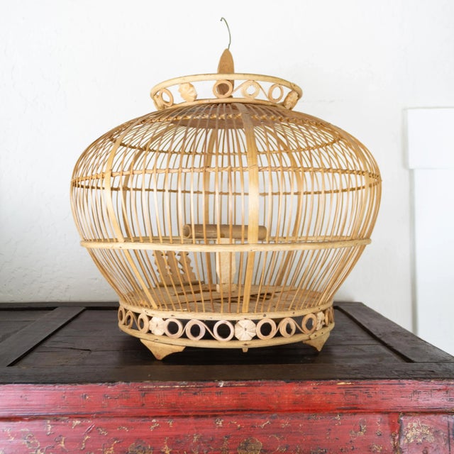 Indonesian Bamboo and Rattan Round Hanging Bird Cage For Sale - Image 4 of 12