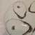 Antique 1880s German Porcelain 5-Well Oyster Plate With Shell Motif For Sale - Image 10 of 12
