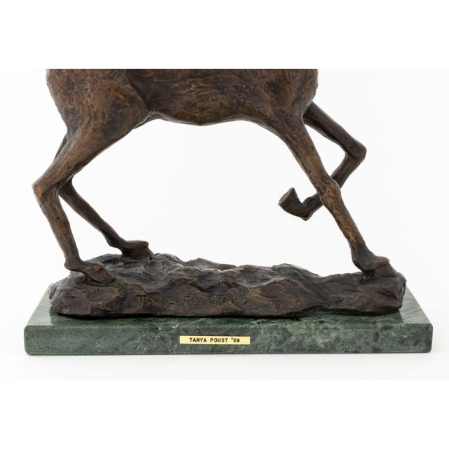Contemporary Tanya Poust Horse Patinated Bronze Sculpture, 1969 For Sale - Image 3 of 9