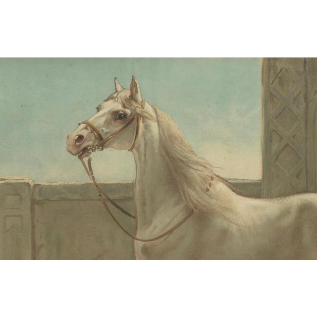After Otto Eerelman, Persian Horse, 1898, Lithograph on Paper For Sale - Image 4 of 9