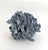 Natural Blue Coral Specimen For Sale - Image 4 of 7