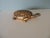 Gold Gold Leaf Terracotta Turtle Candle From Mexico For Sale - Image 8 of 8