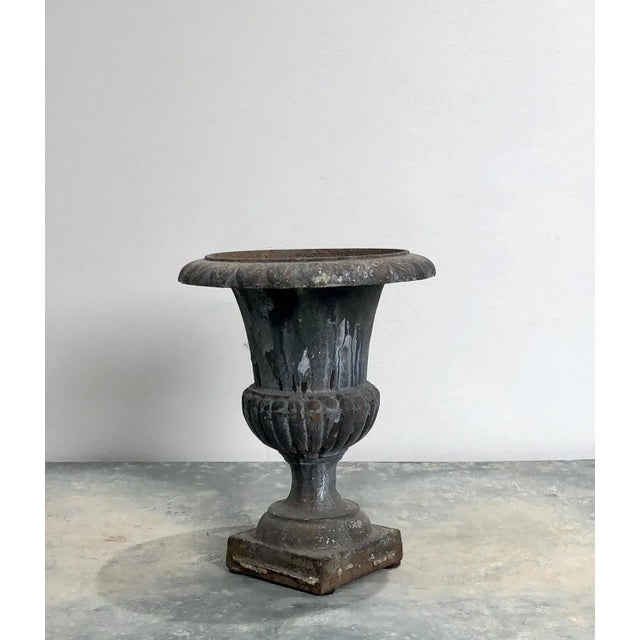 A vintage mid-century cast iron urn.