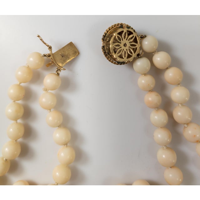 Early 20th Century Double Strand Necklace With Angel Skin Coral and 14k Gold Clasp For Sale - Image 10 of 11