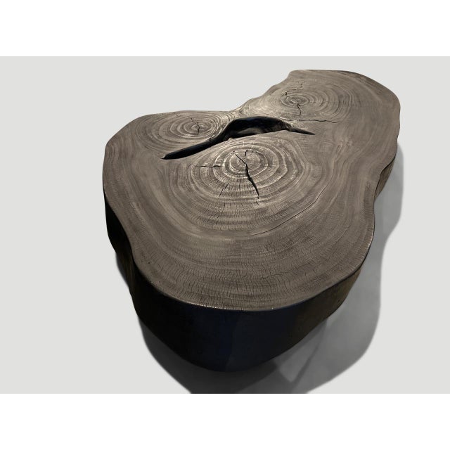 Andrianna Shamaris Impressive Single Slab Suar Wood Charred Coffee Table For Sale - Image 17 of 18