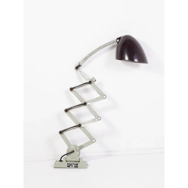 Metal Scissor Vintage Lamp, 1960s For Sale - Image 7 of 7