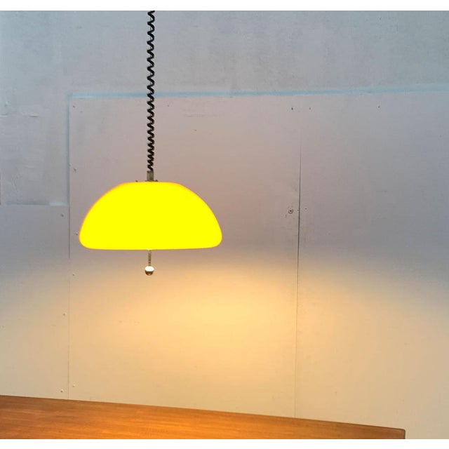 Mid-Century Space Age Cabras Pendant Lamp by Luigi Massoni for Guzzini, 1960s For Sale - Image 18 of 18