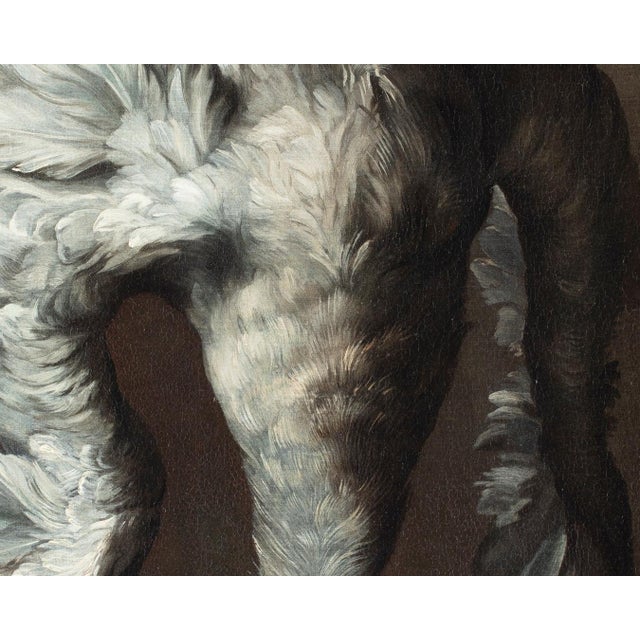 Jean-Baptiste Oudry, White Duck, 1800s, Oil on Canvas, Framed For Sale - Image 4 of 13