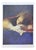 Alessandro Kokocinski, Night Dreams, 1990s, Lithograph For Sale