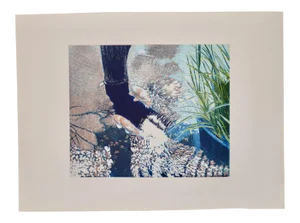 Vintage Koi Pond "Second June" Etching W/ Aquatint by Thadd Evans C.1986