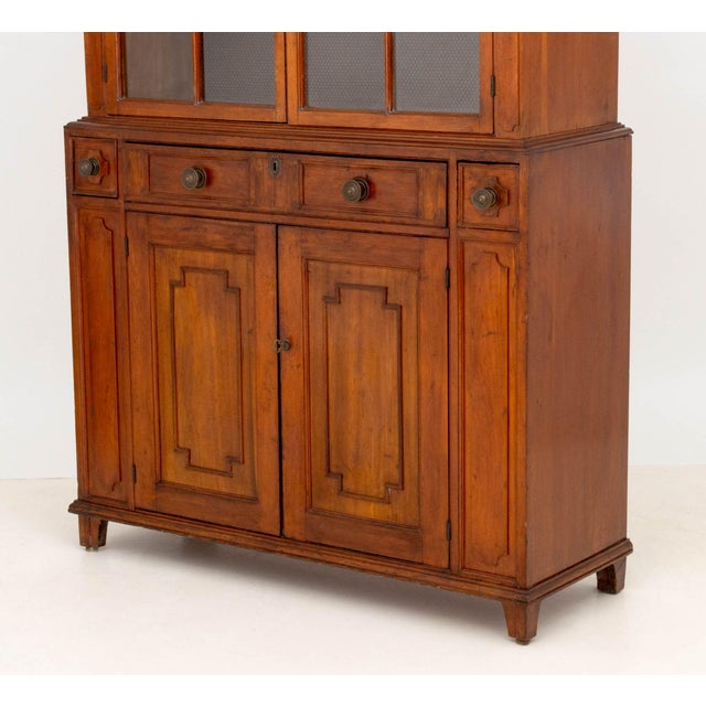 Glass American South Cherry Jackson Press, 19th Century For Sale - Image 7 of 12