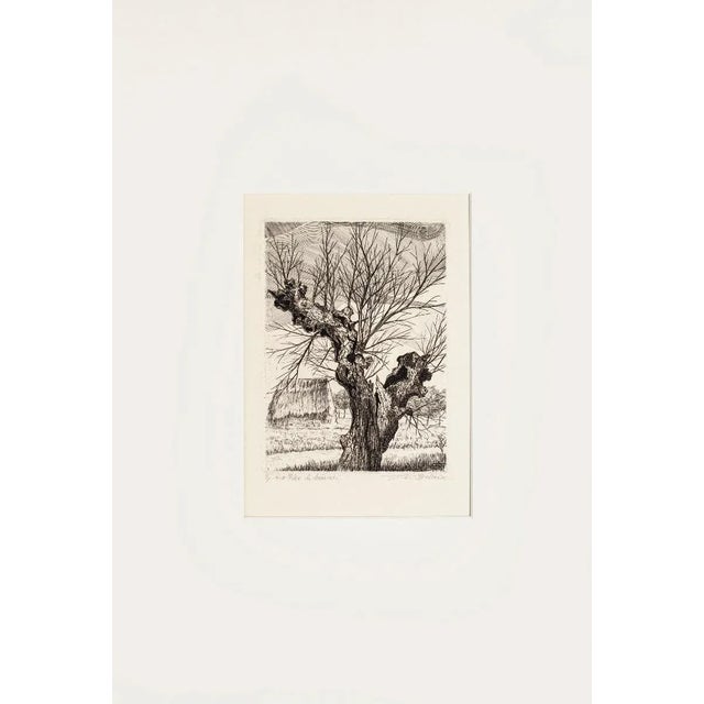 The Oak is an original black and white etching on paper, realized by A. R. Brudieux. On the bottom left margin, notes of...