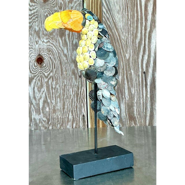 Late 20th Century Vintage Coastal Shell Encrusted Toucan For Sale - Image 5 of 9