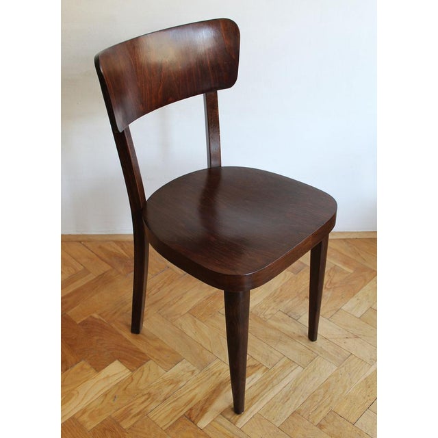 1930s Model A 524 Dining Chair from Thonet, 1930s For Sale - Image 5 of 15