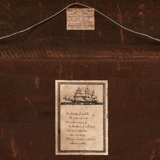 British Colonial West Indies Style Sailors Valentine For Sale - Image 10 of 10