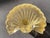 Mid-Century Modern 1950s Mid-Century Barovier & Toso Gold Fleck Scalloped Shell Bowls - a Pair For Sale - Image 3 of 13