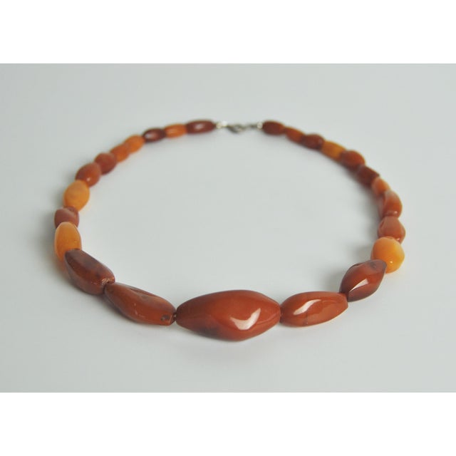 Art Deco Honey Amber Graduated Beads Necklace, 1920s For Sale - Image 10 of 10