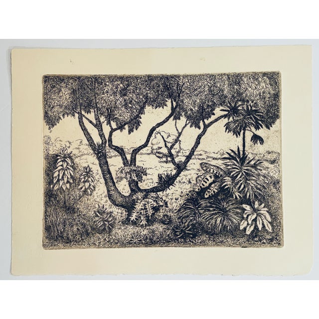 Unsigned etching of a tropical scene. Combined shipping available, please inquire.