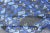 Large Blue Swedish Pile Rug in Blue by Keivan Woven Arts 10'2"x13'9 For Sale - Image 11 of 13