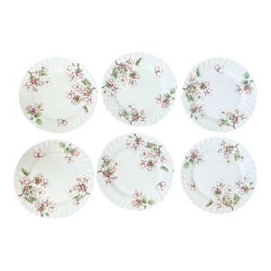 Black Pot Uk Wedgwood Apple Blossom Dessert Plates 8 5/8”. Set of 6