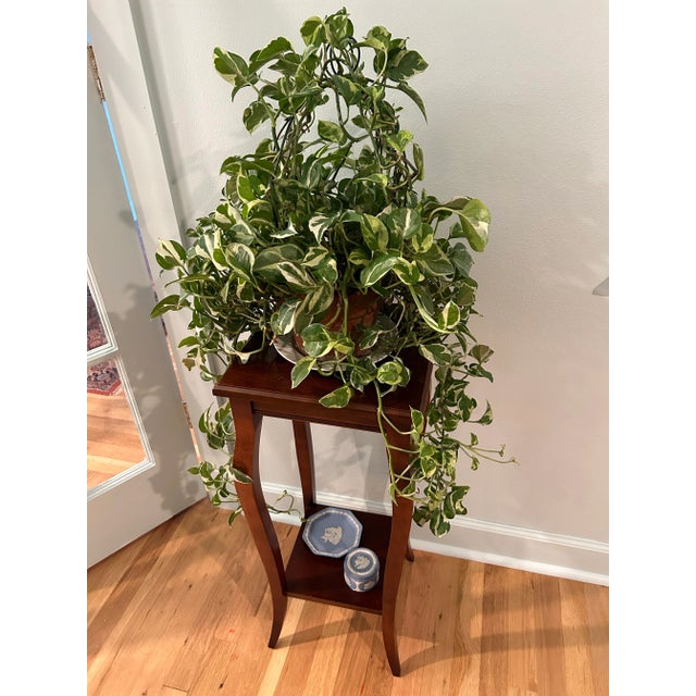 The clean lines of this Lane Alta Vista mahogany plant stand make it easy to use in any decor. The 12” square top will...