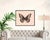 Contemporary Modern Butterfly Large Canvas Print in Black Frame Color-Way 4 For Sale - Image 3 of 3