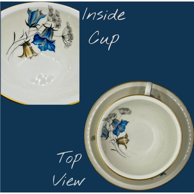 Vintage Rosenthal Winifred Teacup Saucer Selb Germany Blue Bellflowers Gold Trim For Sale - Image 6 of 10